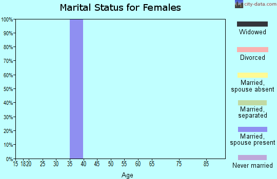 Zip code 17010 marital status for females