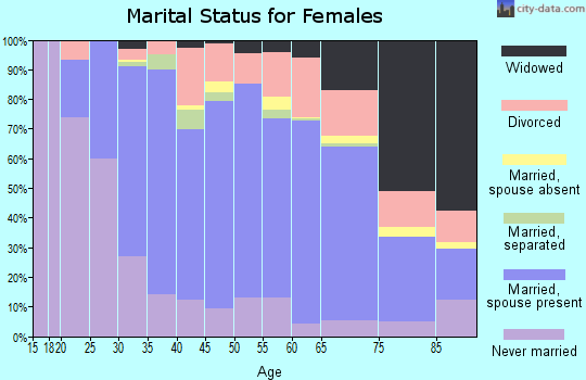 Zip code 17011 marital status for females