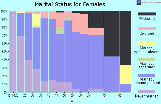 Zip code 17023 marital status for females