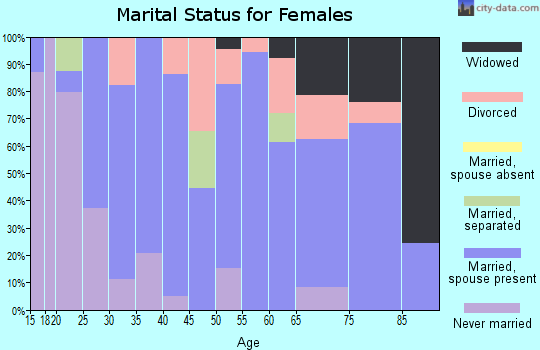 Zip code 17026 marital status for females
