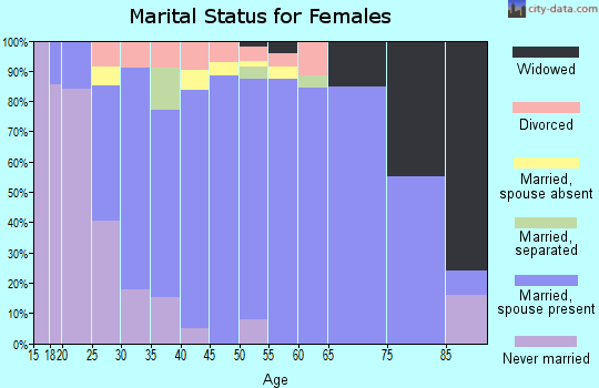 Zip code 17040 marital status for females
