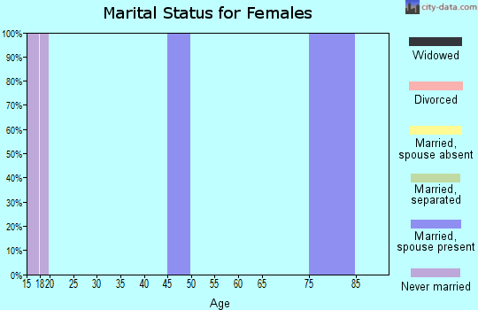 Zip code 17041 marital status for females