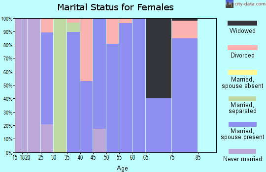 Zip code 17049 marital status for females