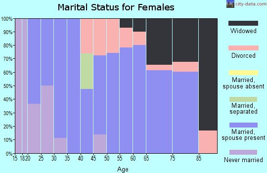 Zip code 17060 marital status for females