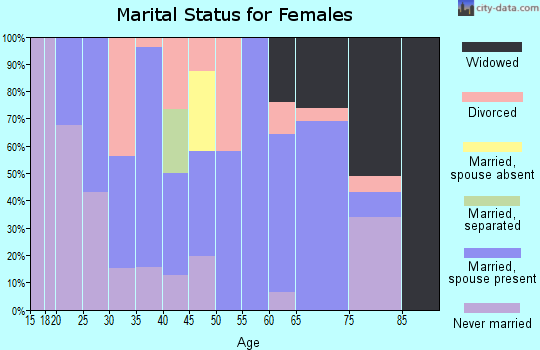 Zip code 17063 marital status for females