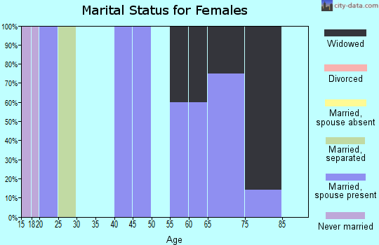 Zip code 17069 marital status for females