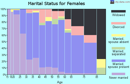 Zip code 17070 marital status for females