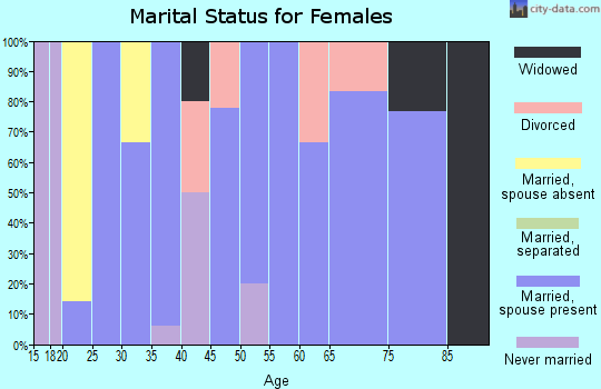 Zip code 17080 marital status for females