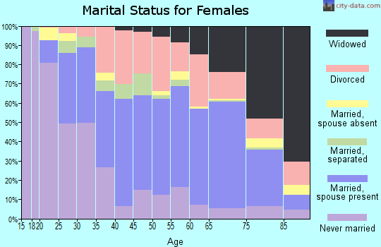 Zip code 17201 marital status for females