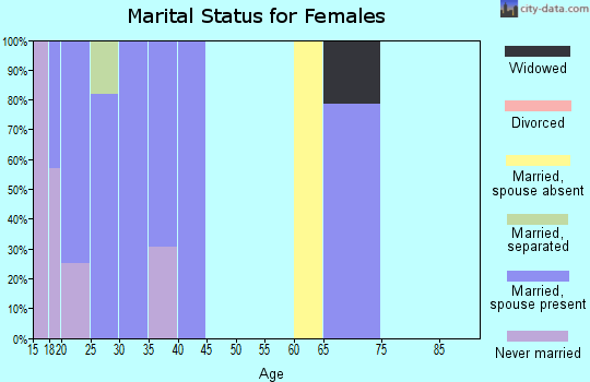Zip code 17220 marital status for females