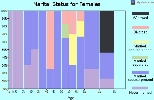 Zip code 17253 marital status for females