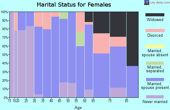 Zip code 17255 marital status for females