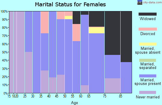 Zip code 17260 marital status for females