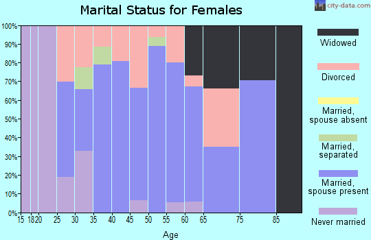Zip code 17302 marital status for females