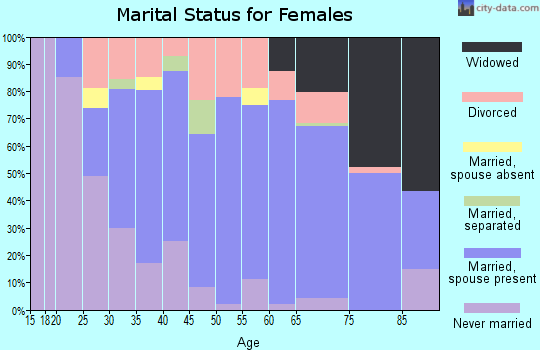 Zip code 17307 marital status for females