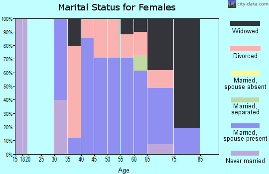 Zip code 17309 marital status for females