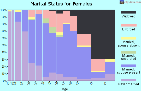 Zip code 17313 marital status for females