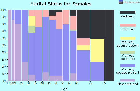 Zip code 17314 marital status for females