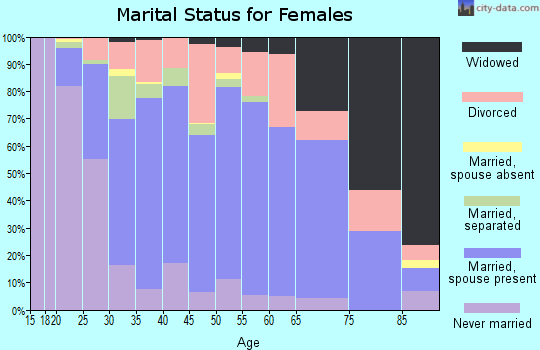 Zip code 17315 marital status for females