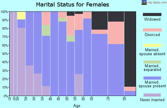 Zip code 17321 marital status for females