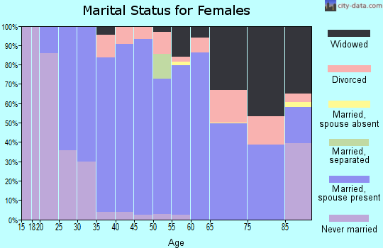 Zip code 17322 marital status for females
