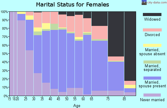 Zip code 17325 marital status for females
