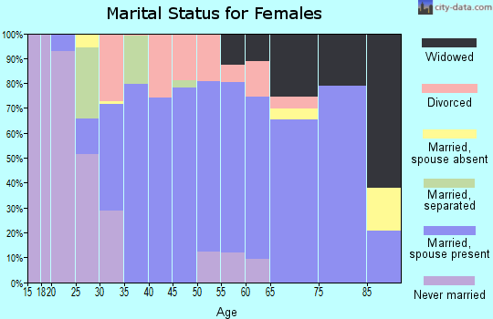 Zip code 17339 marital status for females