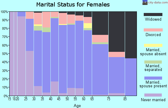 Zip code 17340 marital status for females