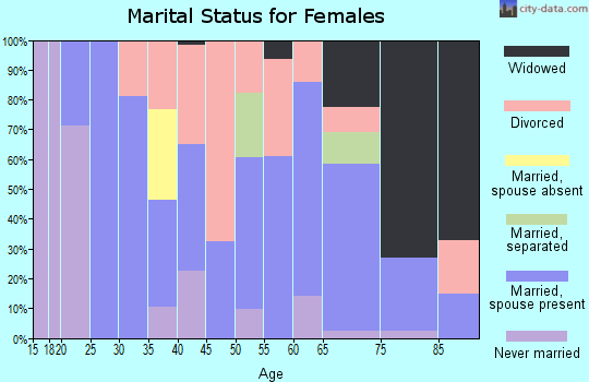 Zip code 17344 marital status for females