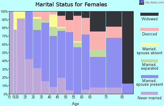Zip code 17345 marital status for females