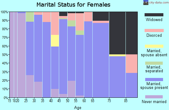 Zip code 17347 marital status for females