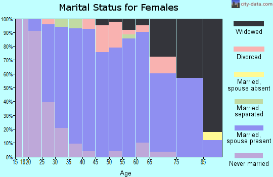 Zip code 17349 marital status for females