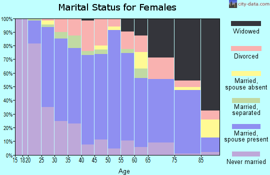 Zip code 17350 marital status for females