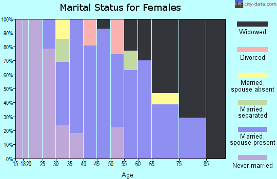 Zip code 17352 marital status for females