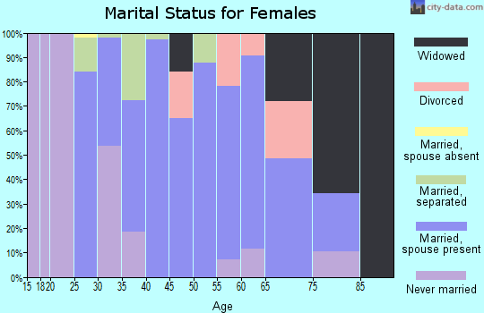 Zip code 17353 marital status for females