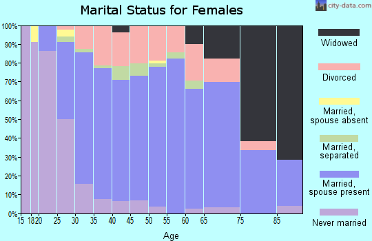 Zip code 17356 marital status for females