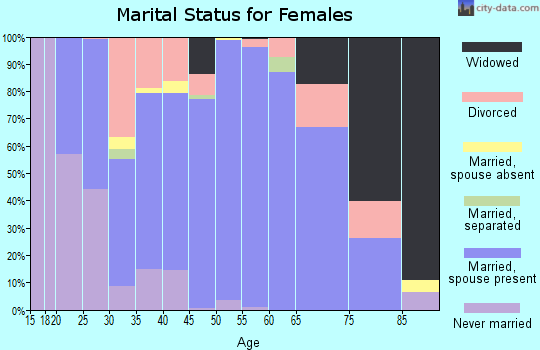 Zip code 17360 marital status for females