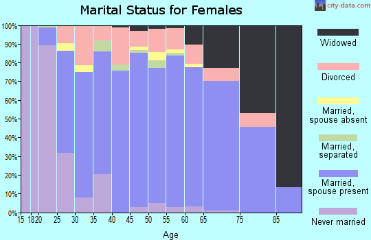 Zip code 17362 marital status for females