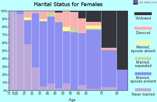Zip code 17363 marital status for females