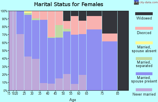 Zip code 17366 marital status for females