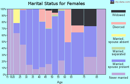 Zip code 17370 marital status for females
