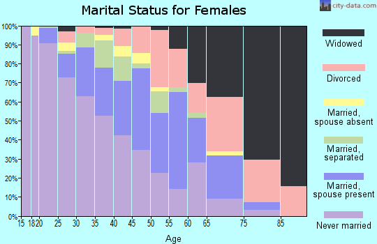 Zip code 17401 marital status for females