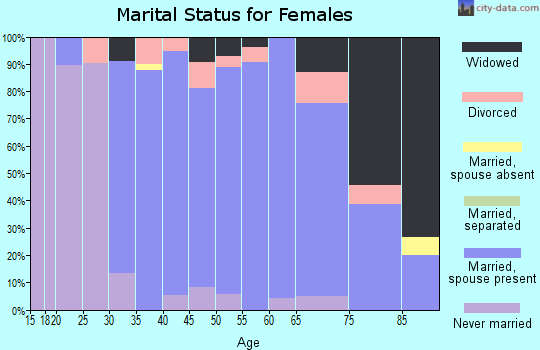 Zip code 17407 marital status for females