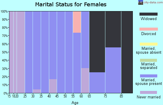 Zip code 17505 marital status for females