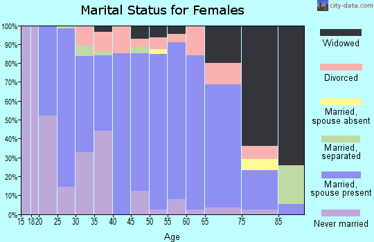 Zip code 17509 marital status for females