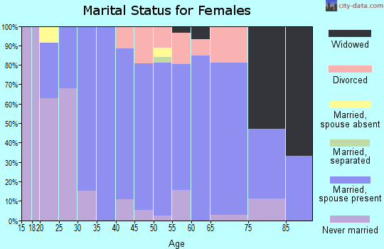 Zip code 17538 marital status for females