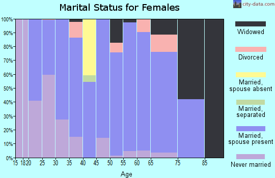 Zip code 17562 marital status for females