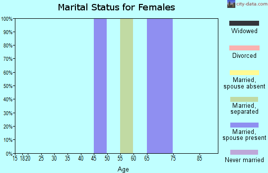 Zip code 17576 marital status for females