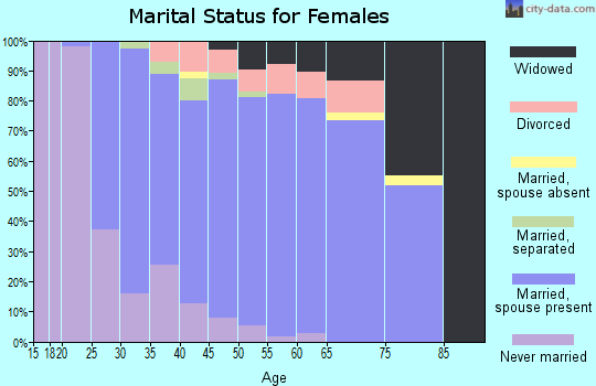 Zip code 17728 marital status for females