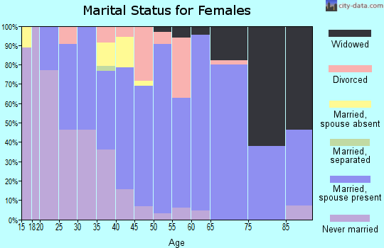 Zip code 17810 marital status for females
